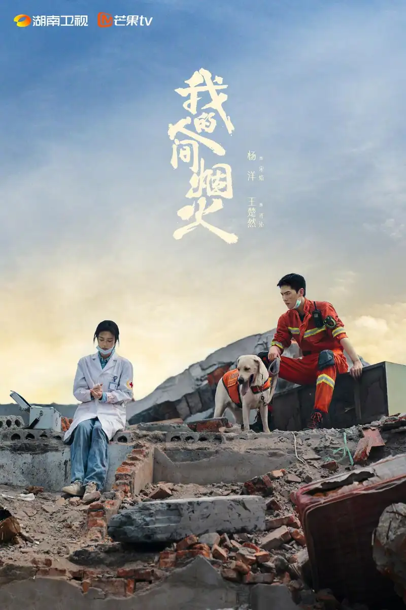 蝶抉择海报